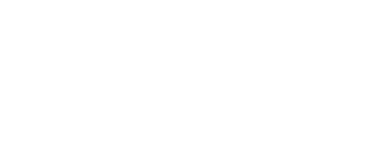 The signature of Vicente Le that serves as his logo on a transparent background.